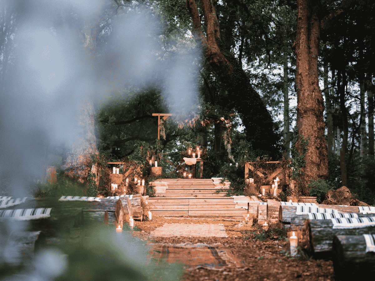 The Woodland at Brinsop Court in Herefordshire